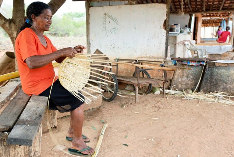 Governo do Brasil abre inscrições para o Comitê Nacional de Enfrentamento ao Racismo Ambiental e Climático